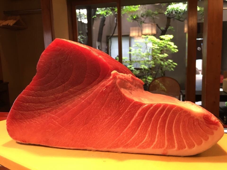 Special Tour 8 special-tour-8